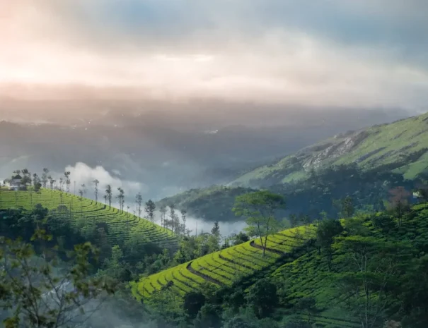 Kerala tour