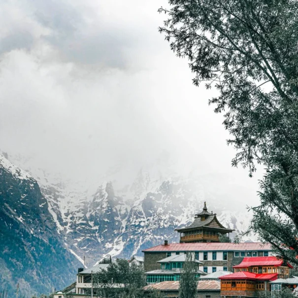 Manali Honeymoon package