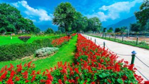 Day 3 — Srinagar