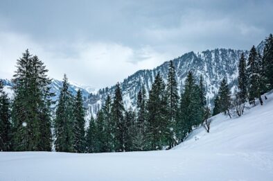 snow, snowfall, winter, himalayas, trek, trekking, adventure, nature, white, christmas, himachal, himachal pradesh, solang, manali, india, cool, chill, cold
