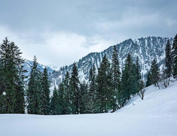 snow, snowfall, winter, himalayas, trek, trekking, adventure, nature, white, christmas, himachal, himachal pradesh, solang, manali, india, cool, chill, cold