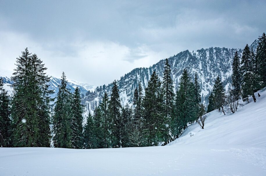 snow, snowfall, winter, himalayas, trek, trekking, adventure, nature, white, christmas, himachal, himachal pradesh, solang, manali, india, cool, chill, cold