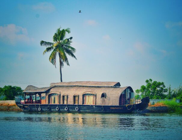 Picturesque view of river with green palms on bank and shabby wooden boathouse under blue sky in tropical countryside