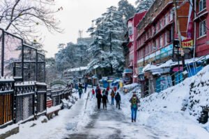 Day 6 — Manali → Chandigarh