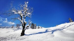 Day 3 — Pahalgam → Gulmarg