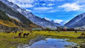 Day 1 — Srinagar → Pahalgam