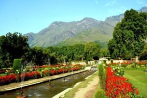 Day 6 — Srinagar Local → Departure