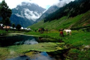 Day 5 — Sonamarg Full Day Excursion